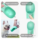 Hydration Buddy - A Companheira Perfeita para Seu Pet